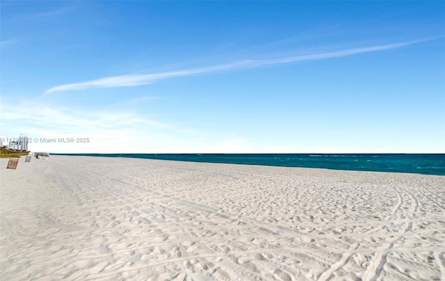 view of water feature with a beach view