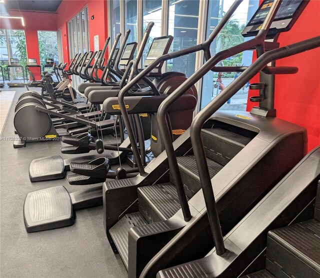 exercise room featuring a wealth of natural light