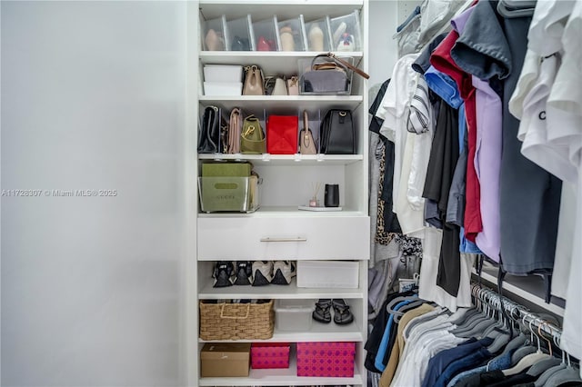 view of walk in closet