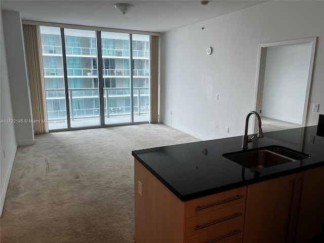 kitchen with light carpet, a wall of windows, and sink