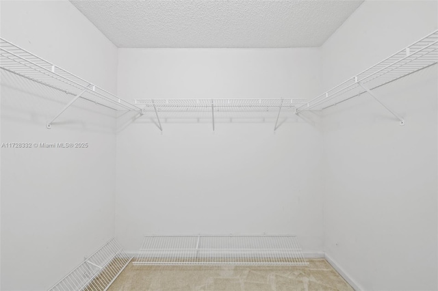 walk in closet with light colored carpet