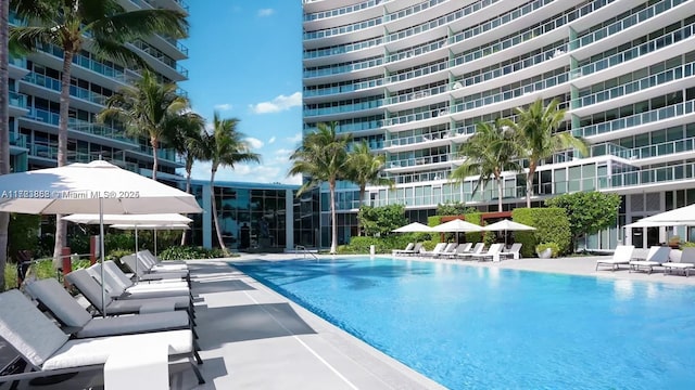 view of swimming pool with a patio