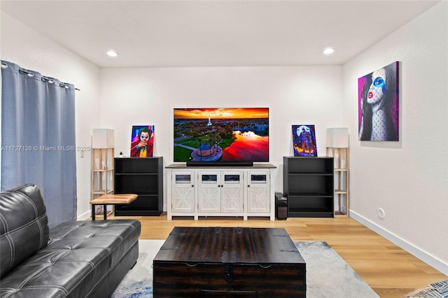 living room featuring wood-type flooring