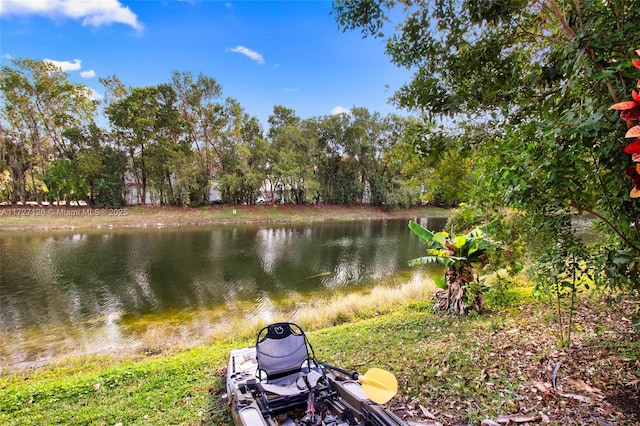 property view of water