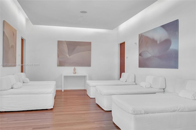 bedroom featuring wood-type flooring