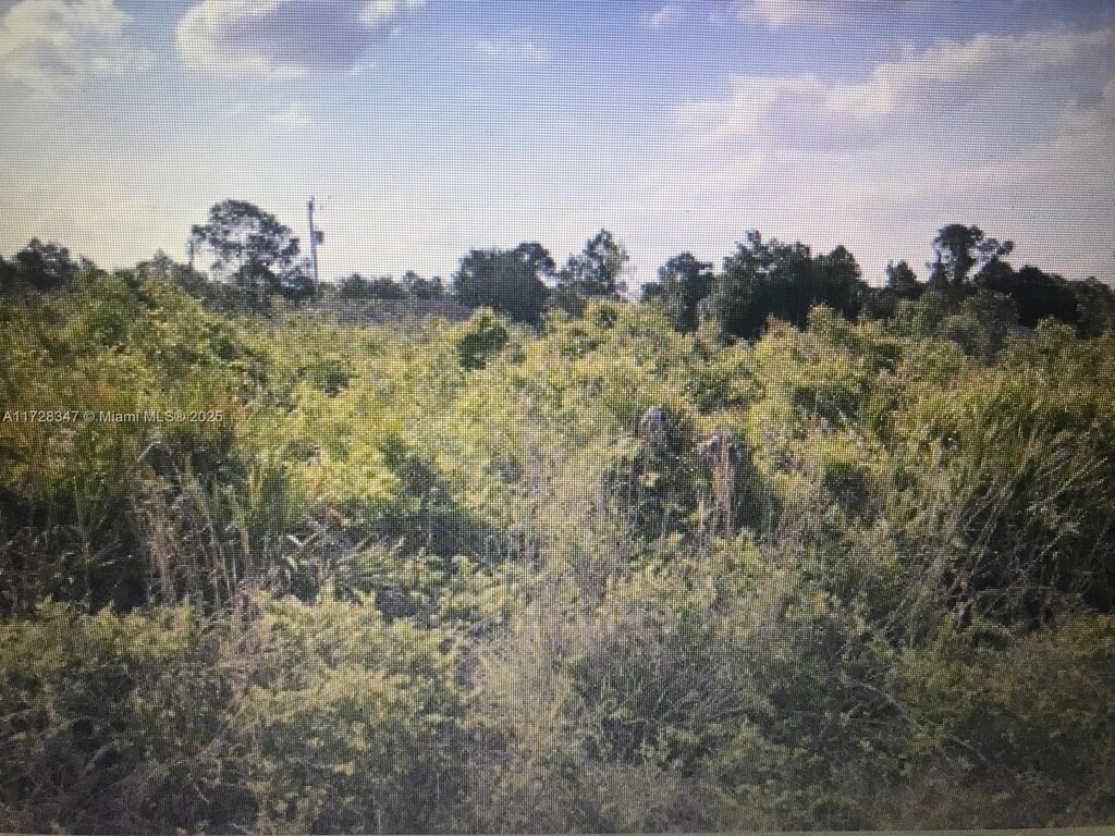 330 Hermosa Ave, Lehigh Acres, FL 33974