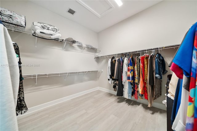 walk in closet with hardwood / wood-style floors