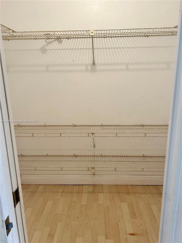 spacious closet featuring light hardwood / wood-style flooring