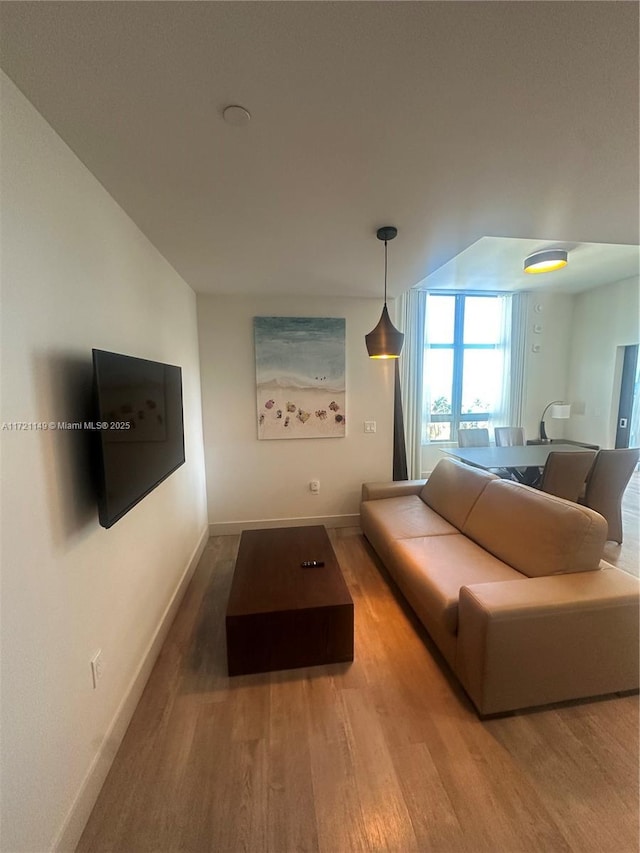 living room with wood-type flooring