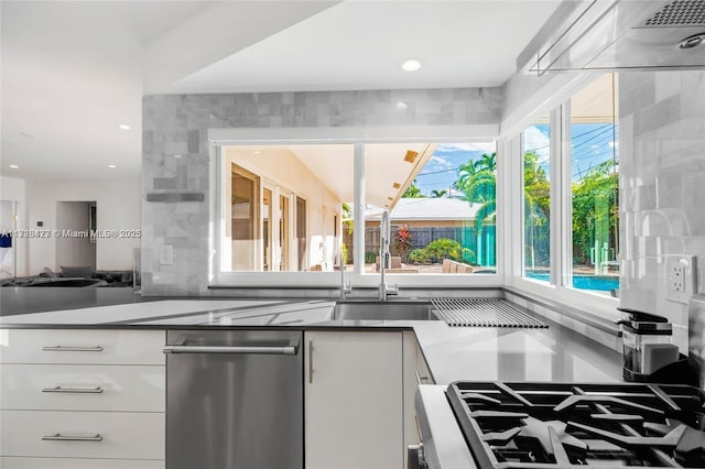 kitchen featuring stainless steel dishwasher, a healthy amount of sunlight, and white cabinetry