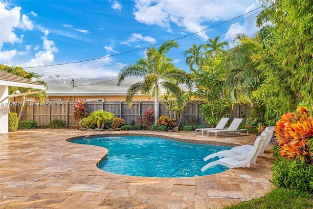 view of swimming pool with a patio