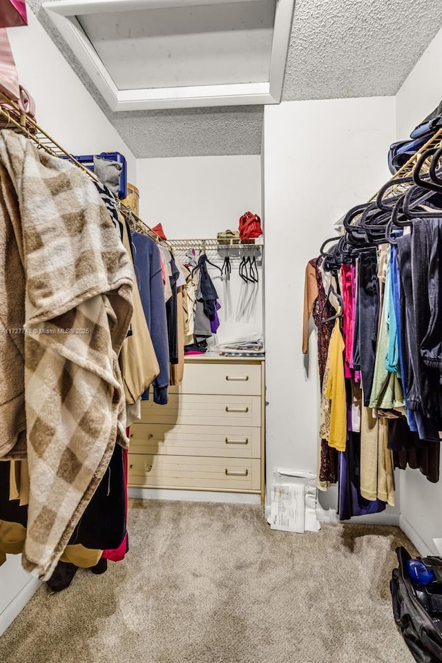 walk in closet featuring carpet floors