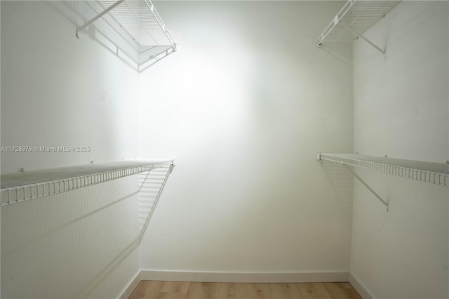 walk in closet featuring hardwood / wood-style flooring