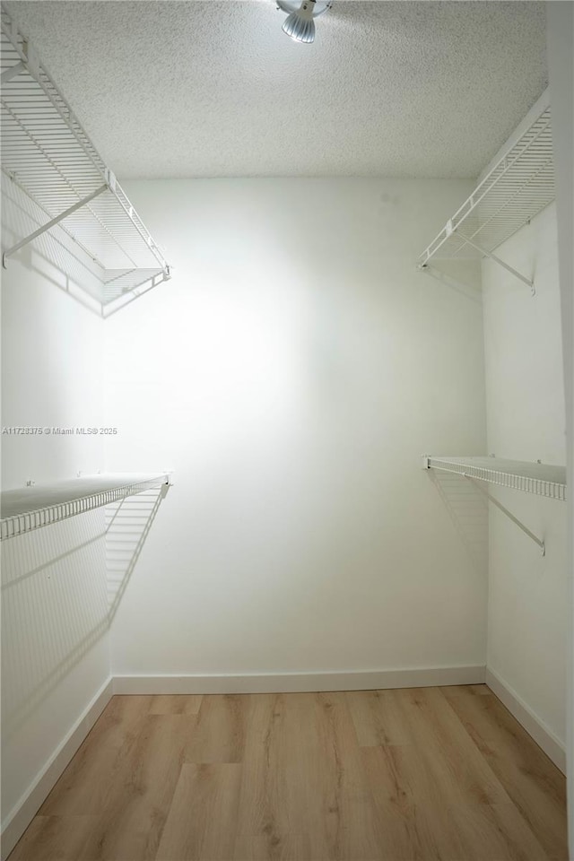 spacious closet featuring wood-type flooring