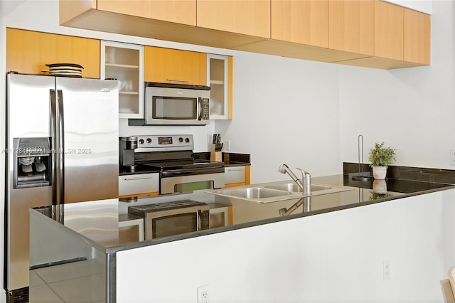 kitchen featuring appliances with stainless steel finishes, kitchen peninsula, and sink