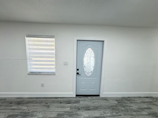 entryway featuring dark wood-type flooring