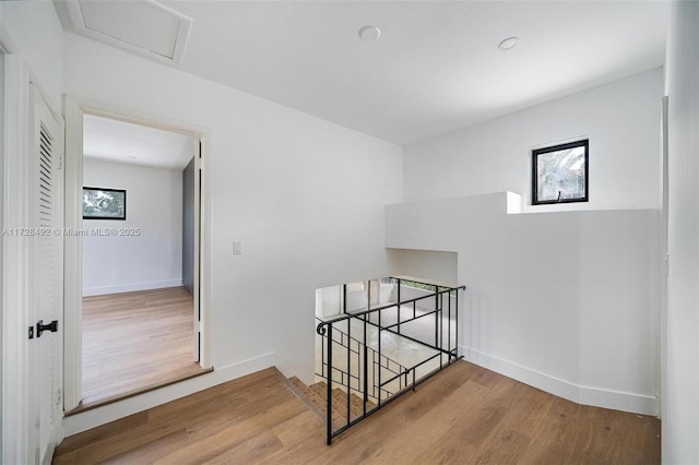 interior space with wood-type flooring