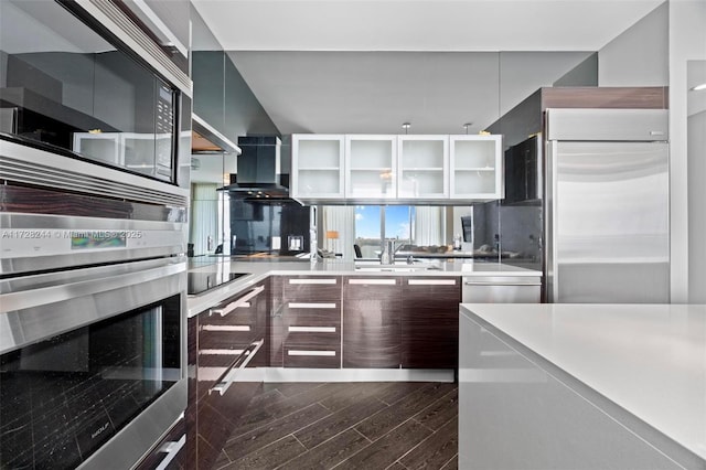 kitchen with dark wood-type flooring, sink, ventilation hood, and stainless steel appliances