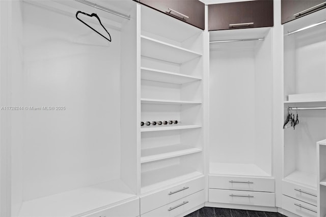 spacious closet featuring dark hardwood / wood-style flooring