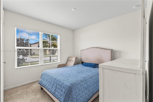 bedroom with baseboards and carpet floors