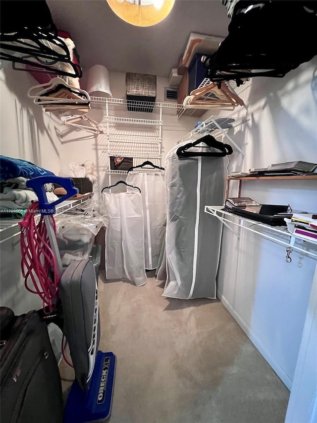 view of spacious closet