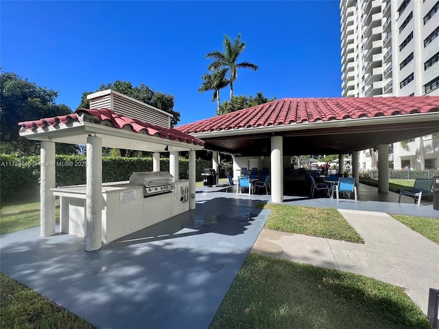 view of community with a patio area and an outdoor kitchen