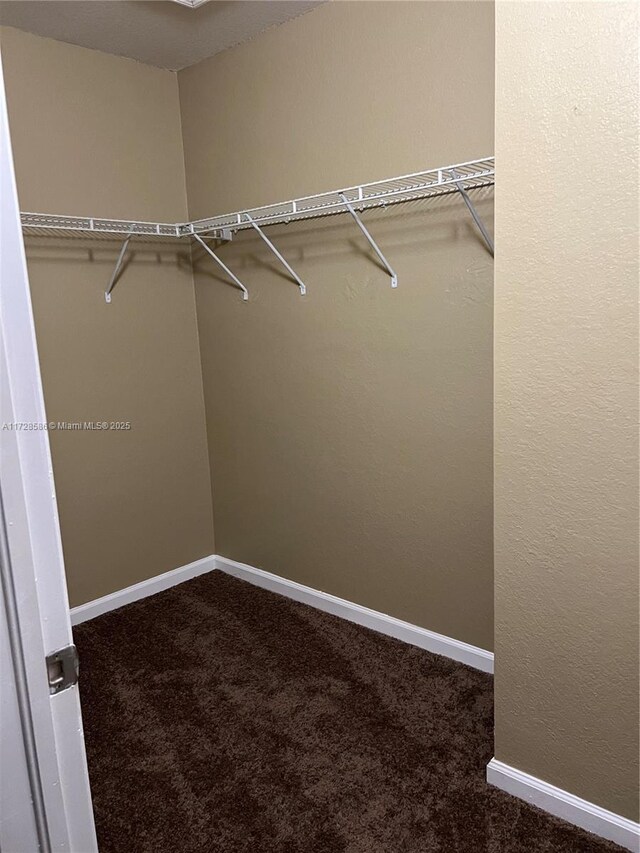 empty room with ceiling fan and carpet