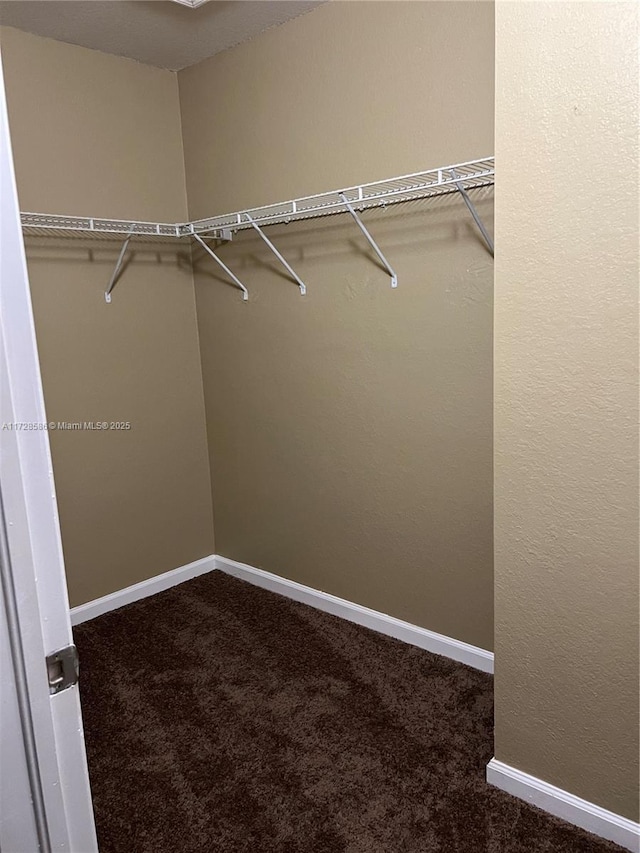 spacious closet with dark colored carpet