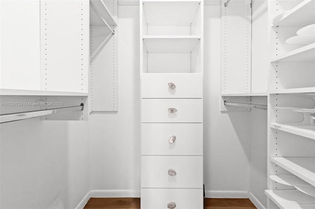 spacious closet featuring hardwood / wood-style flooring