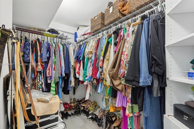 view of spacious closet