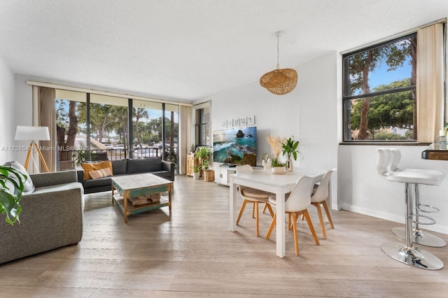 dining area with a textured ceiling, a wall of windows, and light hardwood / wood-style flooring