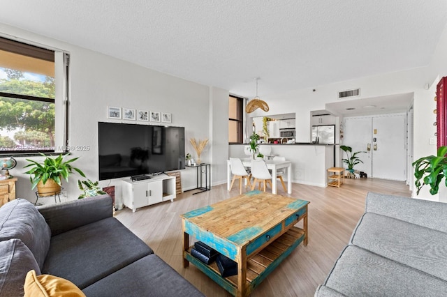 living room with a textured ceiling and light wood-type flooring