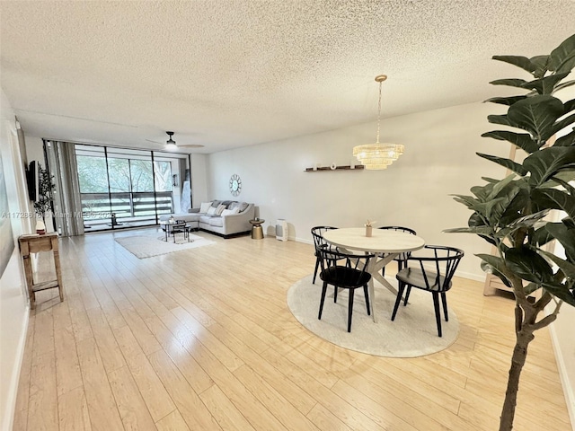 dining room with ceiling fan with notable chandelier, light hardwood / wood-style floors, a textured ceiling, and a wall of windows