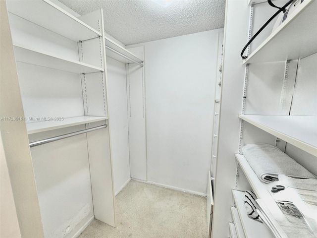 spacious closet with light colored carpet