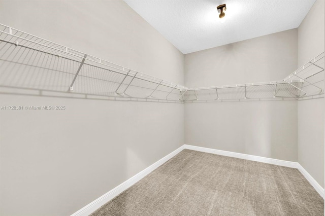 walk in closet with carpet flooring