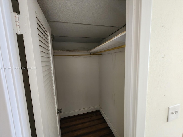 spacious closet featuring dark wood-type flooring