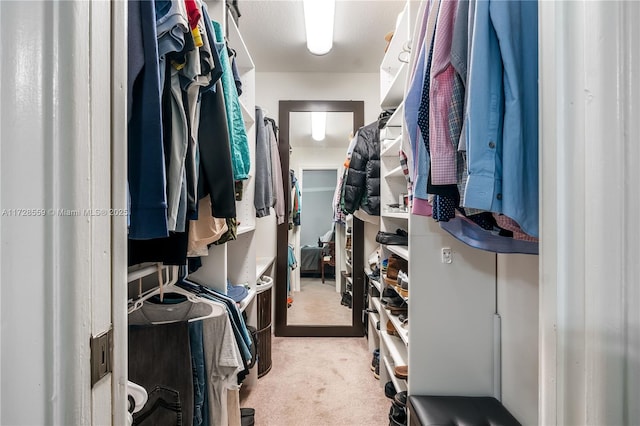 spacious closet with light carpet