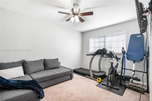 workout area featuring carpet floors and ceiling fan