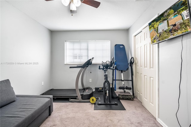 workout room featuring ceiling fan and carpet floors