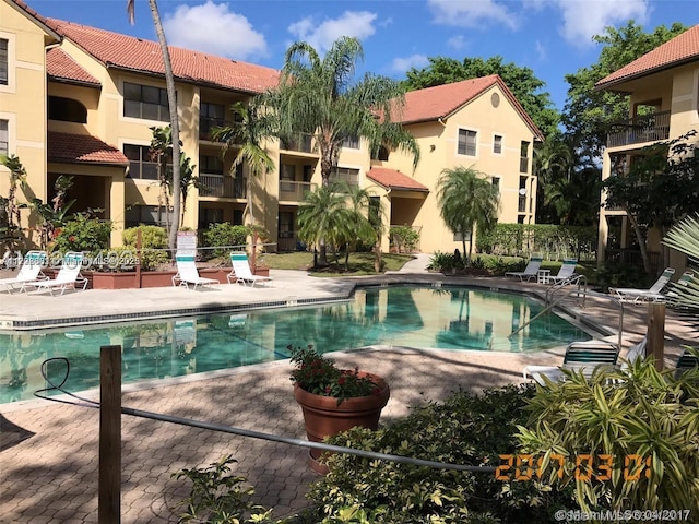 view of pool with a patio area