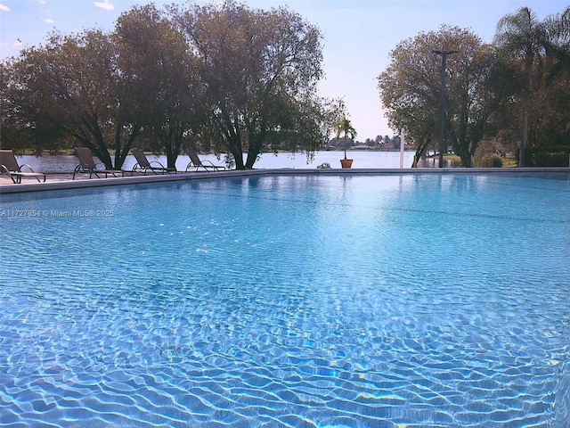 view of swimming pool