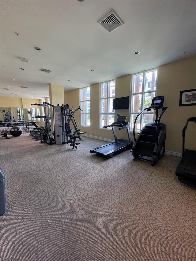 exercise room with a healthy amount of sunlight and carpet floors