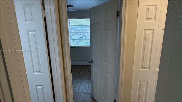 hallway featuring hardwood / wood-style floors