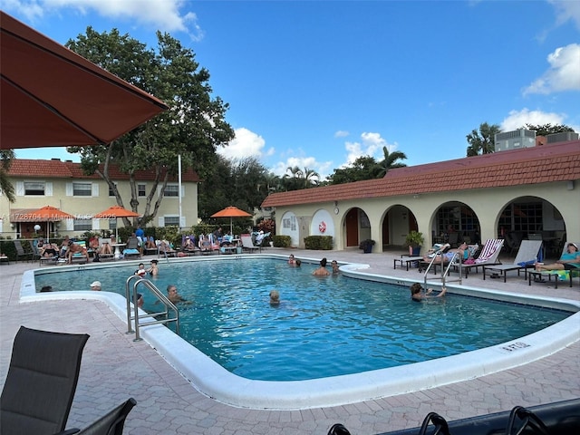 view of pool featuring a patio