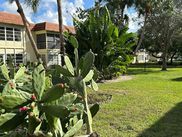 view of yard