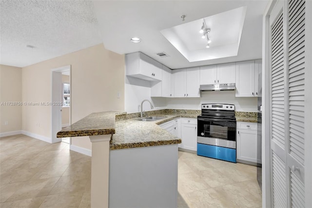 2009 SE 10th Ave Unit 302, Fort Lauderdale, FL 33316 - kitchen featuring stainless steel range with electric cooktop, a sink, under cabinet range hood, a peninsula, and white cabinetry