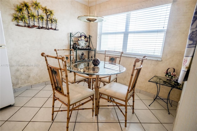 tiled dining room featuring a healthy amount of sunlight