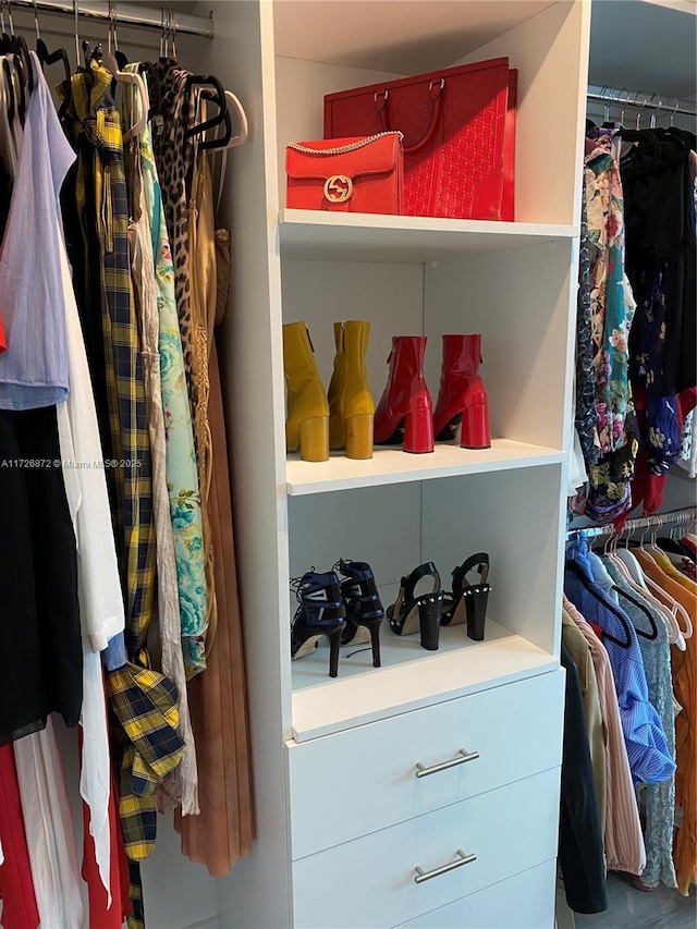 view of walk in closet