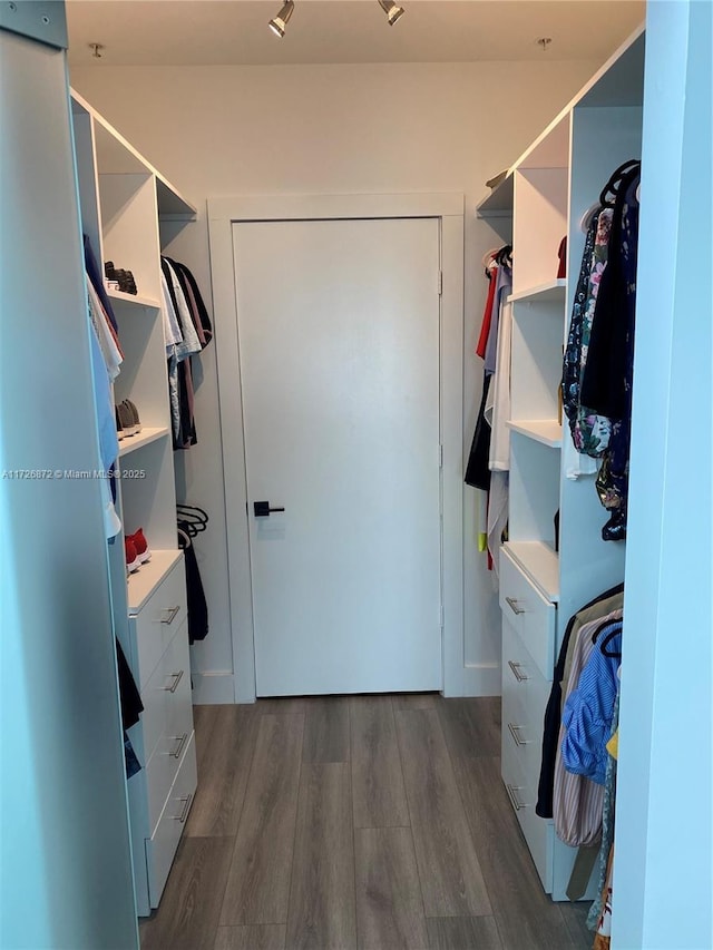 spacious closet with dark wood-type flooring