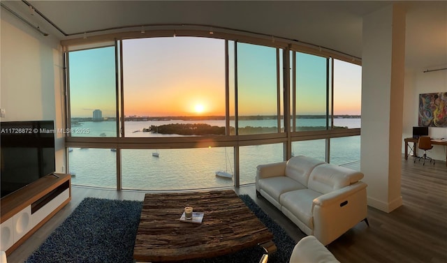 living room with a healthy amount of sunlight, hardwood / wood-style flooring, and expansive windows